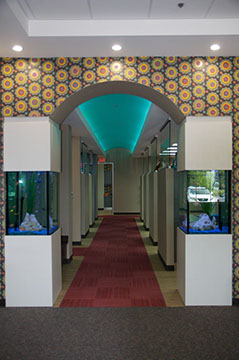 photo looking into our office from waiting room