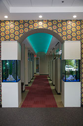 photo looking into our office from waiting room